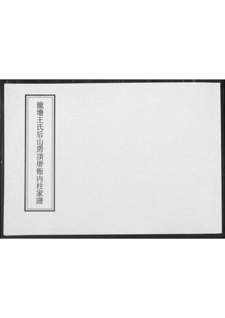 海南王氏-龙塘王氏后山房顶厝衙内柱家谱.pdf电子版插图