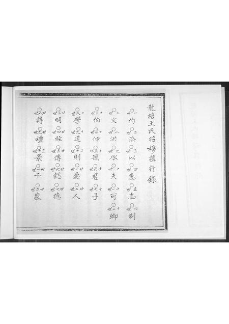海南王氏-龙塘王氏后山房顶厝衙内柱家谱.pdf电子版插图5