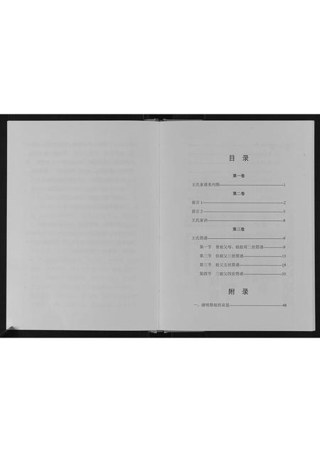 甘肃王氏-王氏家谱.pdf电子版插图3