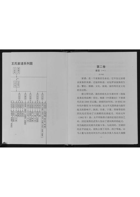 甘肃王氏-王氏家谱.pdf电子版插图5