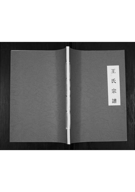 贵州王氏-王氏宗谱[不分卷].pdf电子版插图