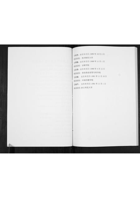贵州王氏-王氏宗谱[不分卷].pdf电子版插图2
