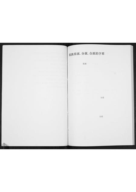 贵州王氏-王氏宗谱[不分卷].pdf电子版插图3