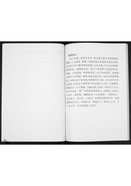 贵州王氏-王氏宗谱[不分卷].pdf电子版插图5