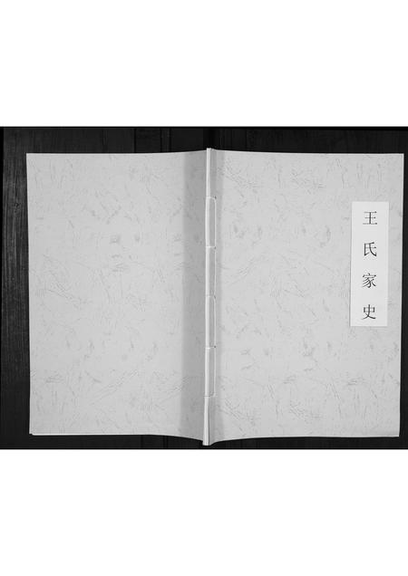 贵州王氏-王氏家史[不分卷].pdf电子版插图