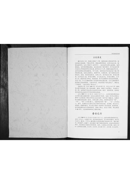 贵州王氏-王氏家史[不分卷].pdf电子版插图1