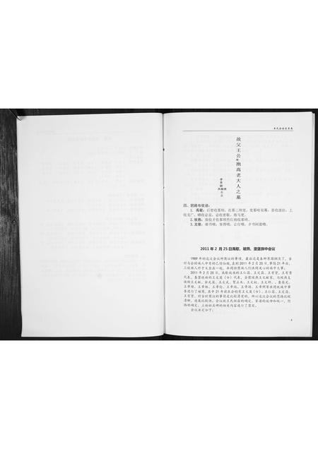贵州王氏-王氏家史[不分卷].pdf电子版插图4