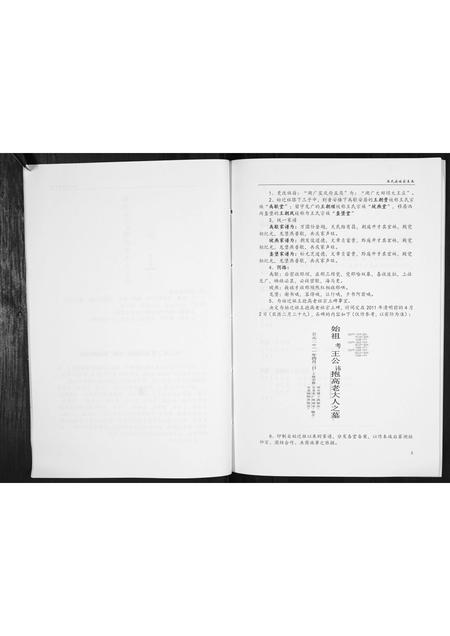 贵州王氏-王氏家史[不分卷].pdf电子版插图5