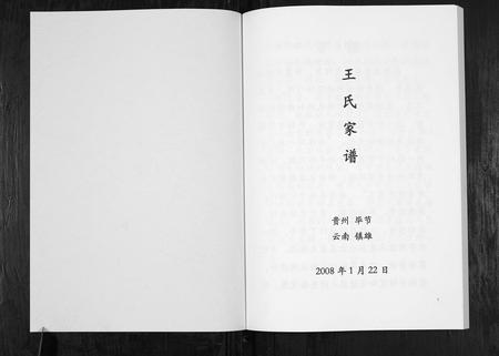 云南王氏-王氏家谱[不分卷].pdf电子版插图1