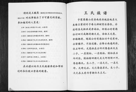 云南王氏-王氏家谱[不分卷].pdf电子版插图3