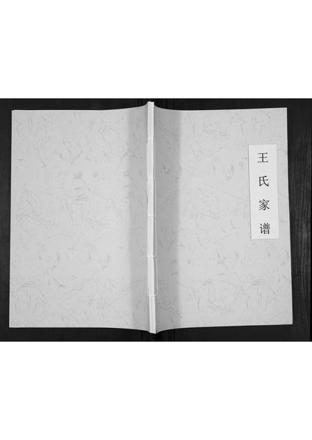 贵州王氏-王氏家谱[不分卷].pdf电子版插图