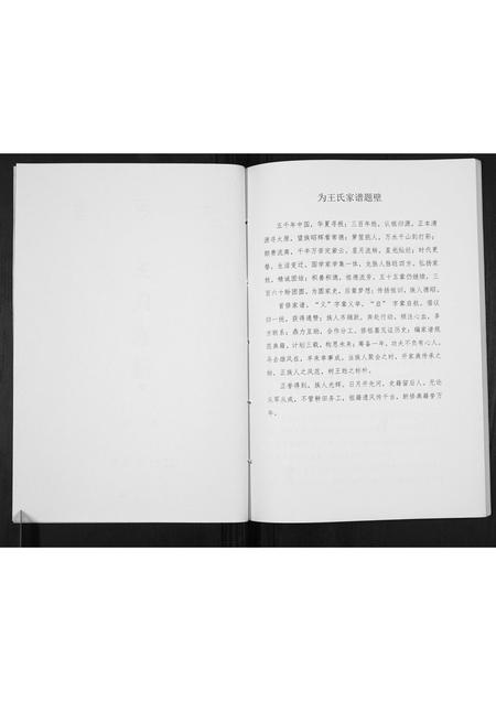 贵州王氏-王氏家谱[不分卷].pdf电子版插图2