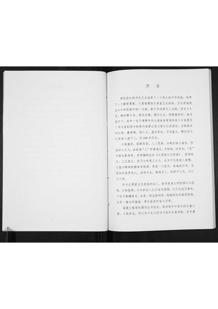 贵州王氏-王氏家谱[不分卷].pdf电子版插图3