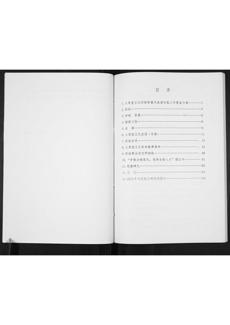 贵州王氏-王氏家谱[不分卷].pdf电子版插图5