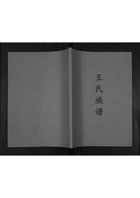 贵州王氏-王氏族谱[不分卷].pdf电子版插图