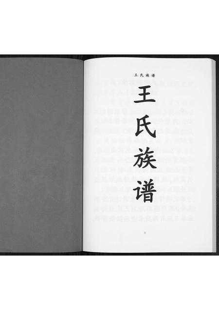 贵州王氏-王氏族谱[不分卷].pdf电子版插图1
