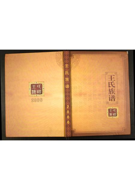 辽宁王氏-王氏族谱.pdf电子版插图