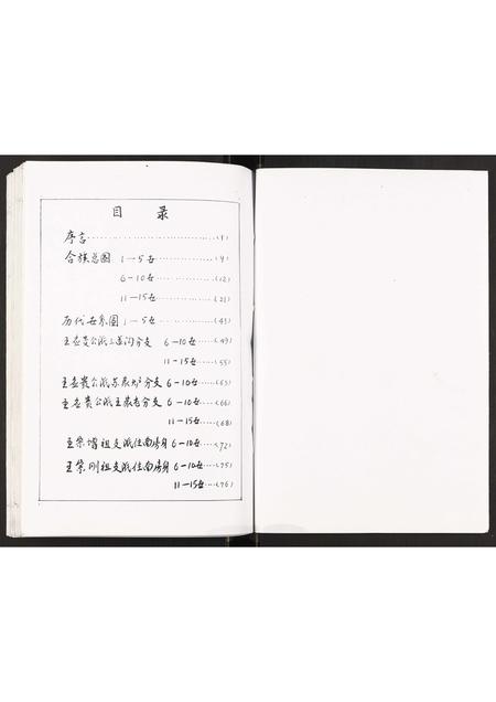 辽宁王氏-王氏族谱书.pdf电子版插图1