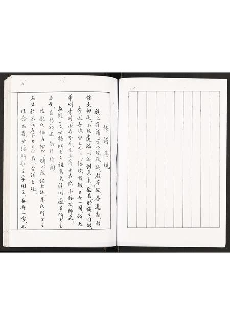 辽宁王氏-王氏族谱书.pdf电子版插图4