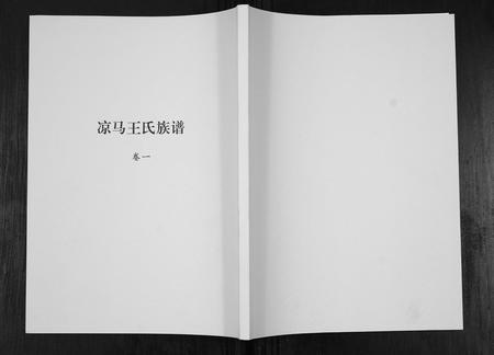 陜西王氏-凉马王氏族谱[4卷].pdf电子版