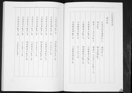 陜西王氏-凉马王氏族谱[4卷].pdf电子版插图2