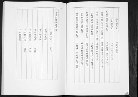 陜西王氏-凉马王氏族谱[4卷].pdf电子版插图3