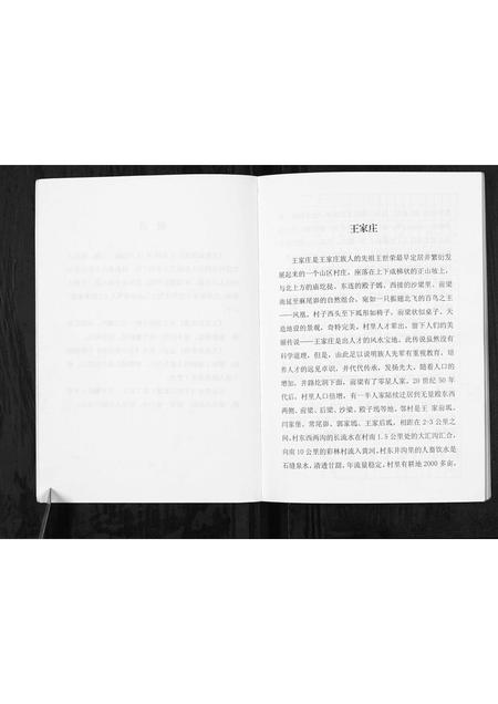 陜西王氏-神木南鄕王家庄家谱[不分卷].pdf电子版插图3