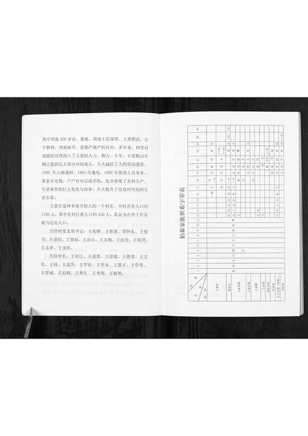 陜西王氏-神木南鄕王家庄家谱[不分卷].pdf电子版插图4