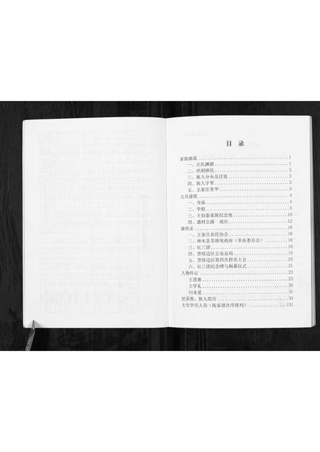 陜西王氏-神木南鄕王家庄家谱[不分卷].pdf电子版插图5