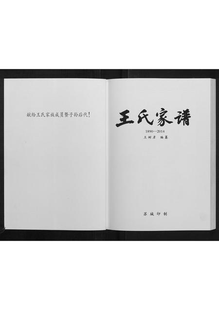 黑龙江王氏-王氏家谱[不分卷].pdf电子版插图2
