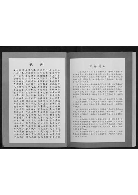 黑龙江王氏-王氏家谱[不分卷].pdf电子版插图5