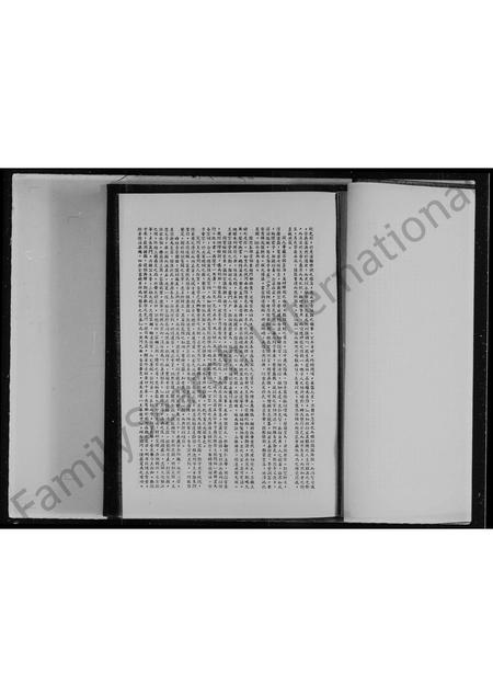 海外王氏-星马王氏宗谊录.pdf电子版插图4 海外王氏-星马王氏宗谊录.pdf电子版插图4