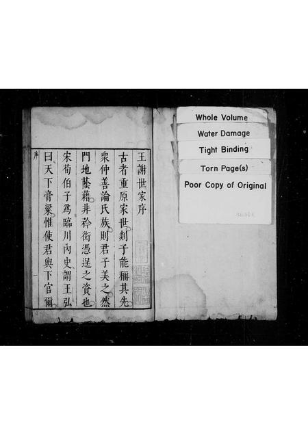 山东王氏谢氏-王谢世家.pdf电子版插图1 山东王氏谢氏-王谢世家.pdf电子版插图1