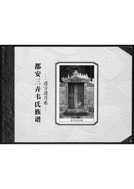 广西韦氏-都安三弄韦氏族谱.pdf电子版插图