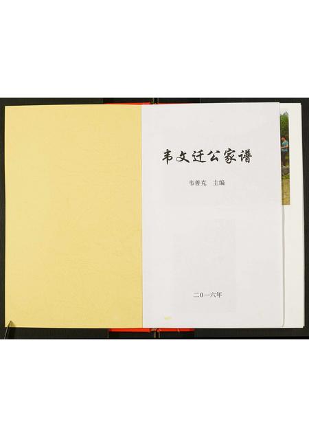 广西韦氏-韦文迁公家谱.pdf电子版插图1