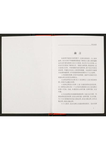 广西韦氏-韦文迁公家谱.pdf电子版插图5