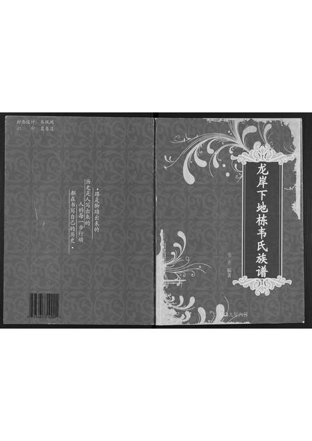 广西韦氏-龙岸下地栋韦氏族谱.pdf电子版插图