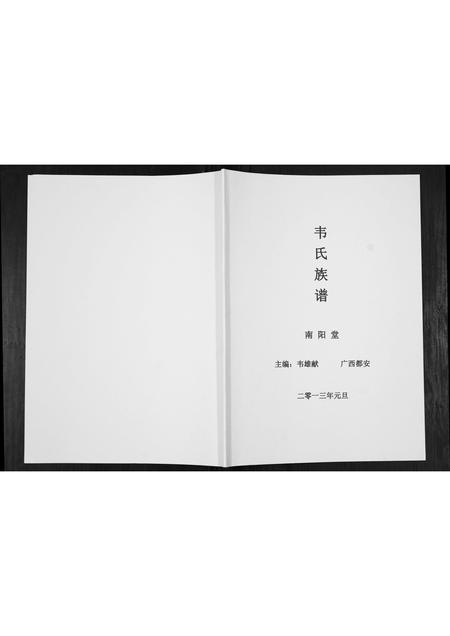 广西伟氏-伟氏族谱[不分卷].pdf电子版插图