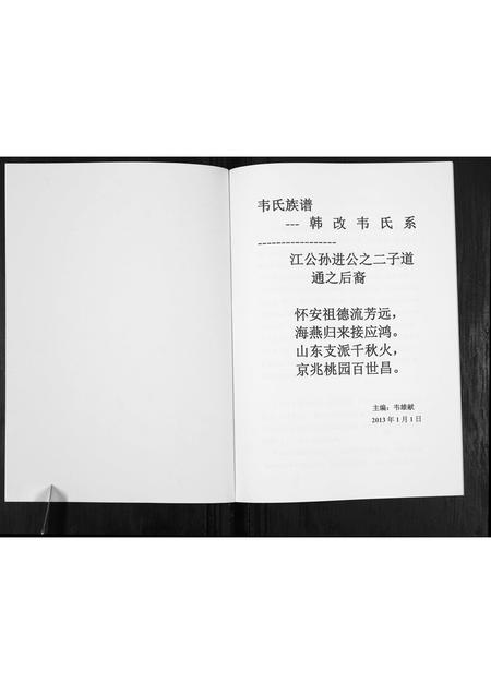广西伟氏-伟氏族谱[不分卷].pdf电子版插图1