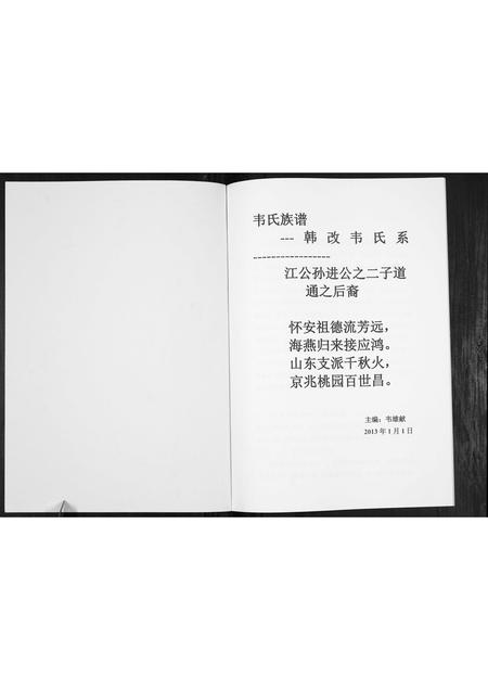 广西伟氏-伟氏族谱[不分卷].pdf电子版插图2