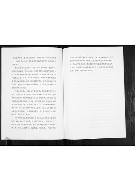 广西伟氏-伟氏族谱[不分卷].pdf电子版插图4
