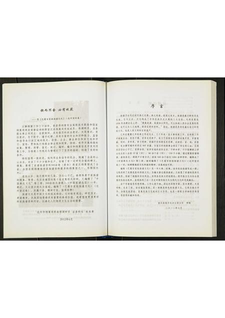 四川未知-巴蜀百家姓族谱文化.宣汉达州卷.pdf电子版插图5