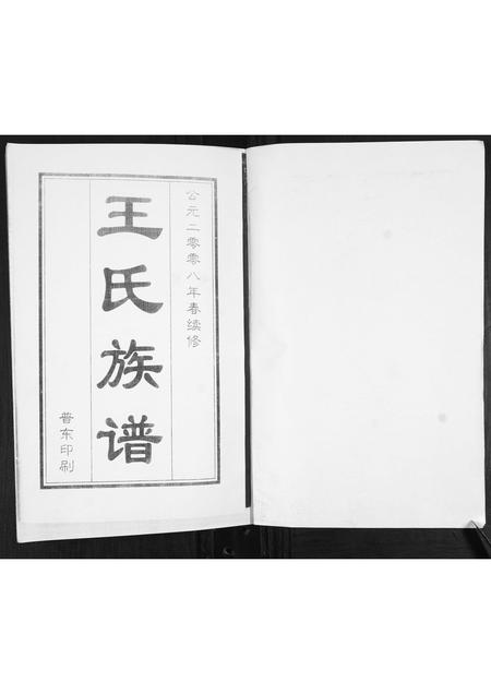 山东未知-王氏族谱.pdf电子版插图1