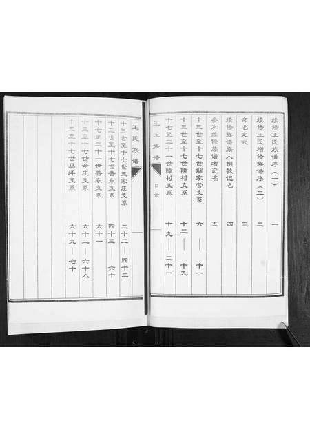 山东未知-王氏族谱.pdf电子版插图2