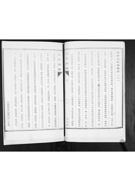 山东未知-王氏族谱.pdf电子版插图3