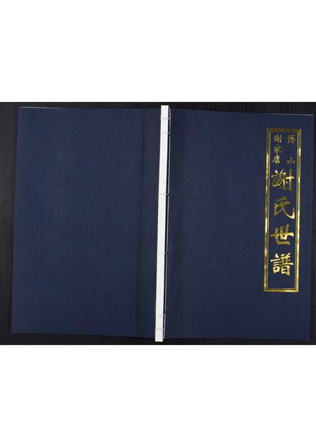 山东未知-谢氏世谱.pdf电子版