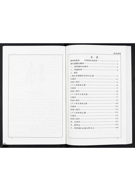 山东未知-谢氏世谱.pdf电子版插图4 山东未知-谢氏世谱.pdf电子版插图4
