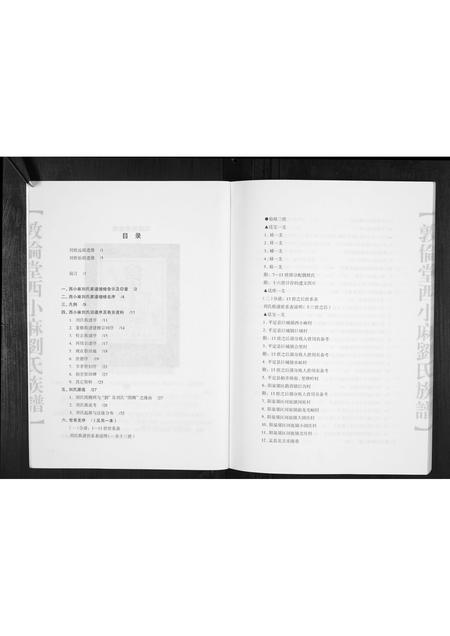 山西未知-西小麻刘氏族谱.pdf电子版插图5