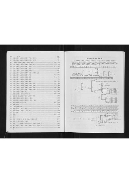 广西未知-广西省上思陆氏宗谱.pdf电子版插图4