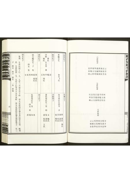 贵州未知-陇西望族李氏族谱.pdf电子版插图5